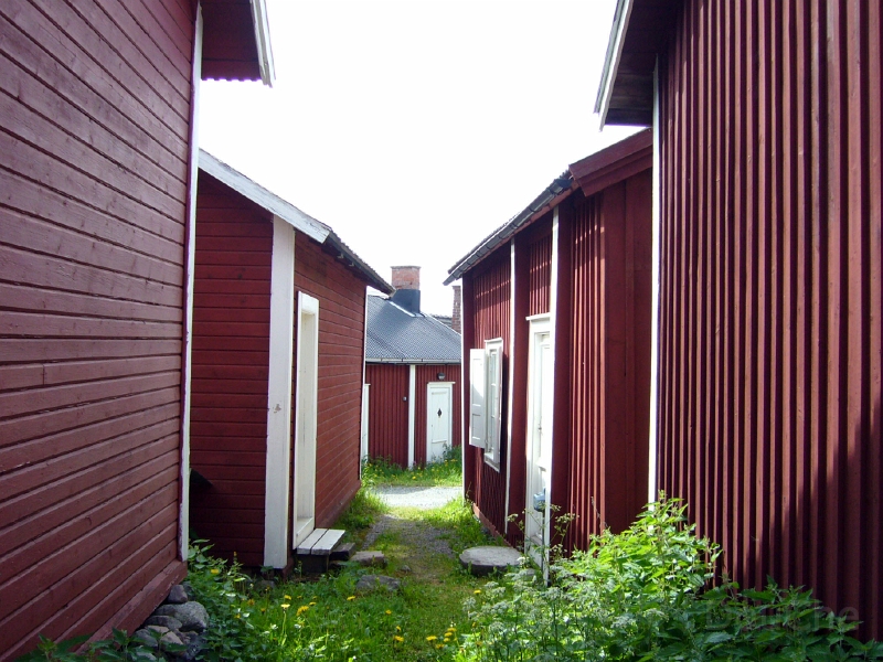 P1060317.jpg