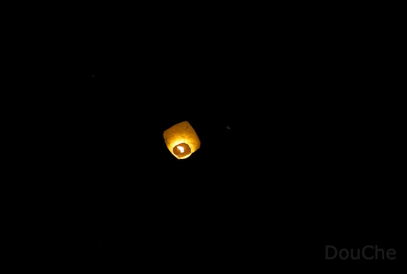 L1002908.jpg