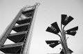 DSC_0003_BW