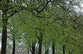 DSC_0009_out