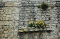 DSC_0011_out