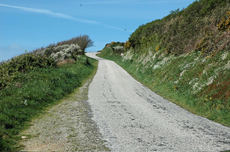 DSC_0179_out.jpg