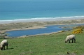 DSC_0188_out