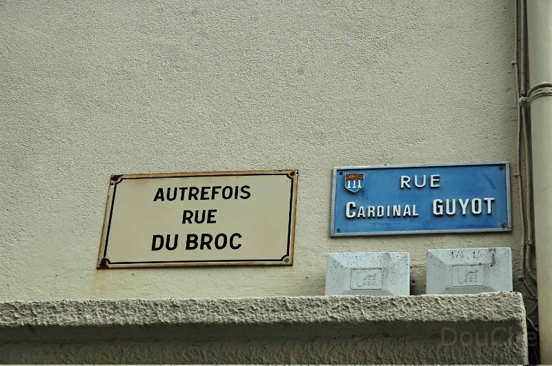 DSC_0221_out.jpg