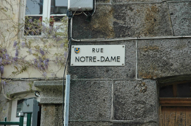 DSC_0233_out.jpg