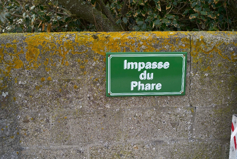 L1001258.jpg