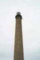 L1001232