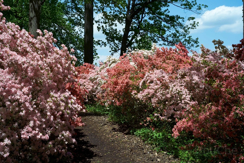 L1001625.jpg