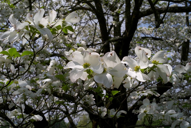 L1001501.jpg
