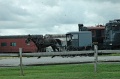 DSC_0446_out
