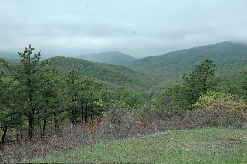 DSC_0312_out.jpg
