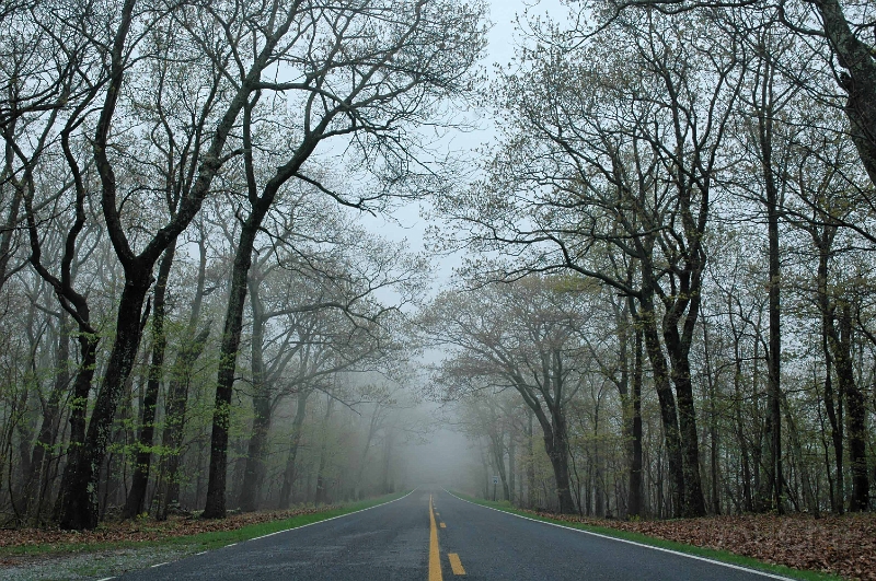 DSC_0317_out.jpg