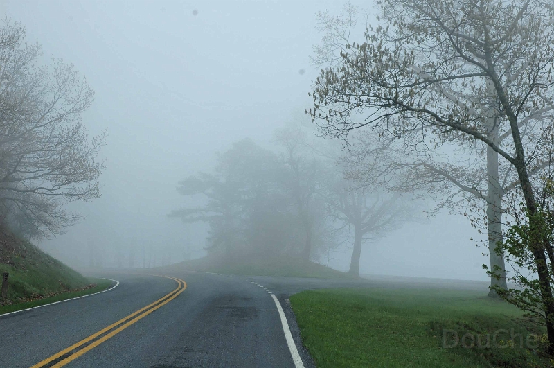 DSC_0319_out.jpg