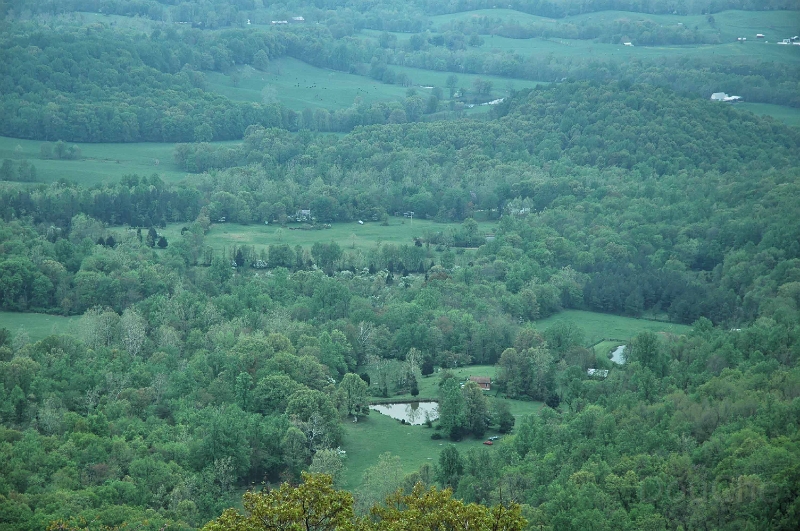 DSC_0358_out.jpg