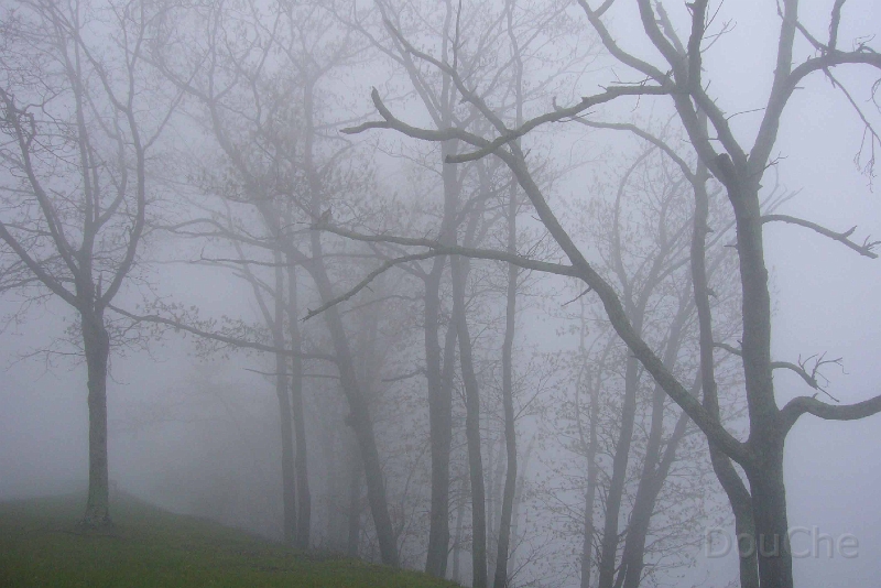 P1090005.jpg