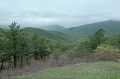 DSC_0312_out