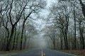 DSC_0317_out