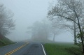 DSC_0319_out