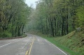 DSC_0336_out