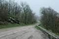 DSC_0339_out