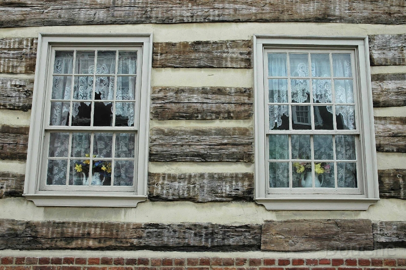 DSC_0496_out.jpg