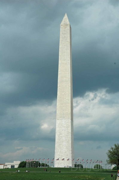 DSC_0162_out.jpg