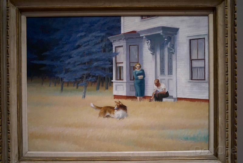 L1001450.jpg