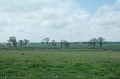 Gettysburg