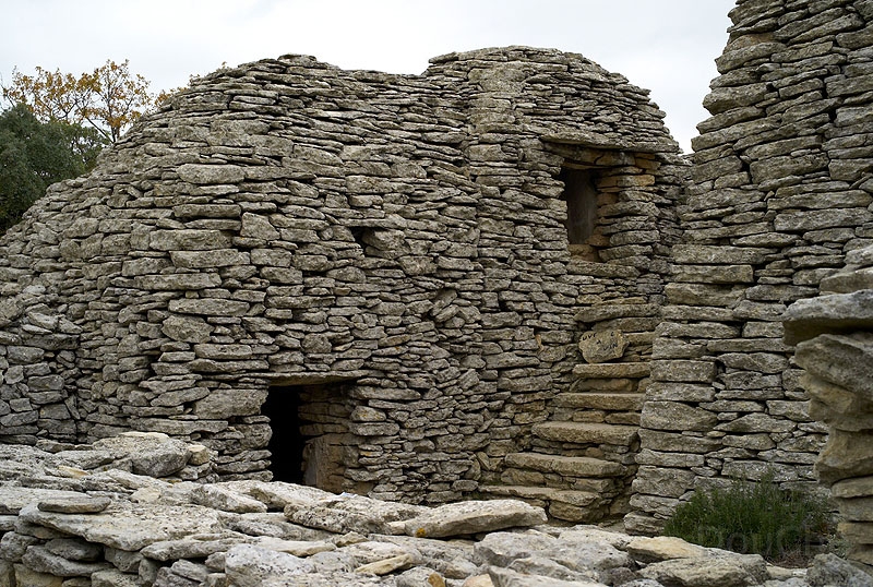 L1003710_800.jpg