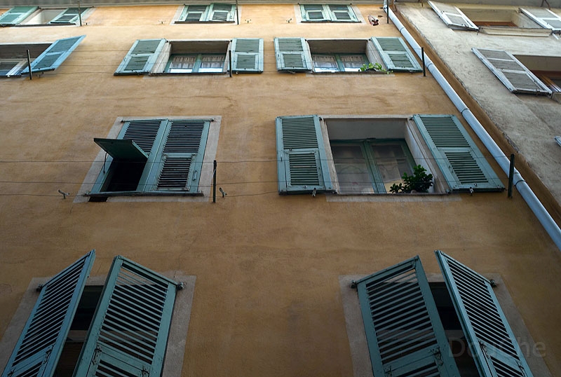 L1003800_800.jpg