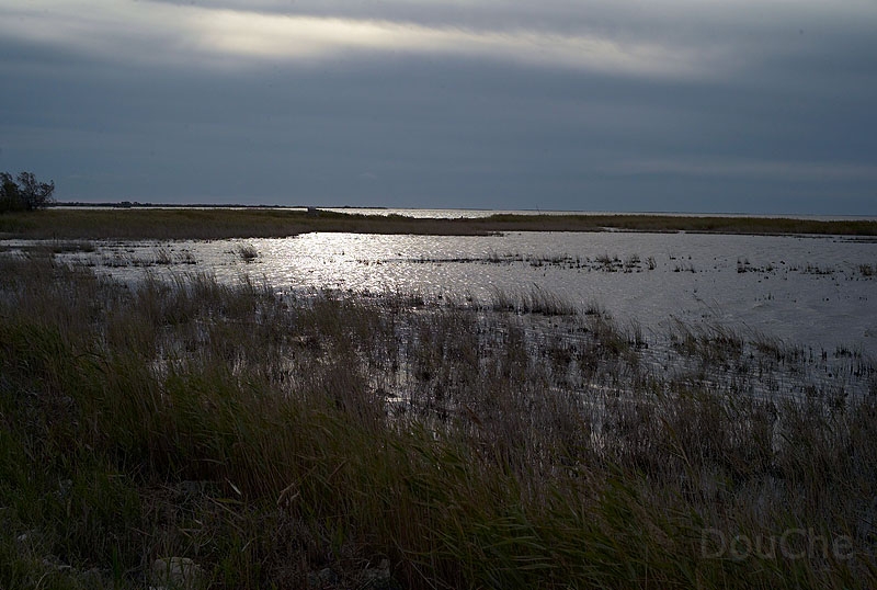 L1003483_800.jpg