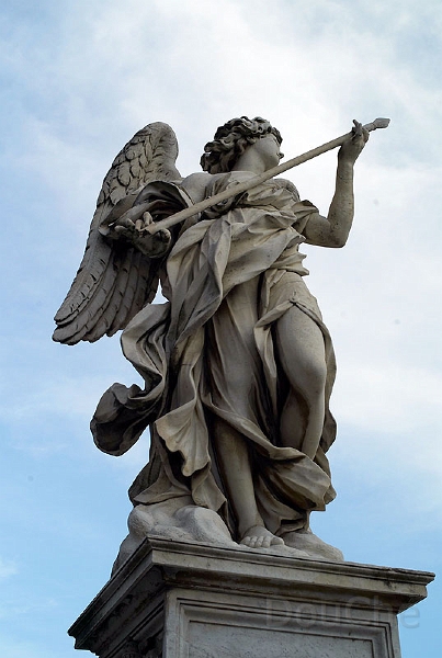 L1004337_800.jpg