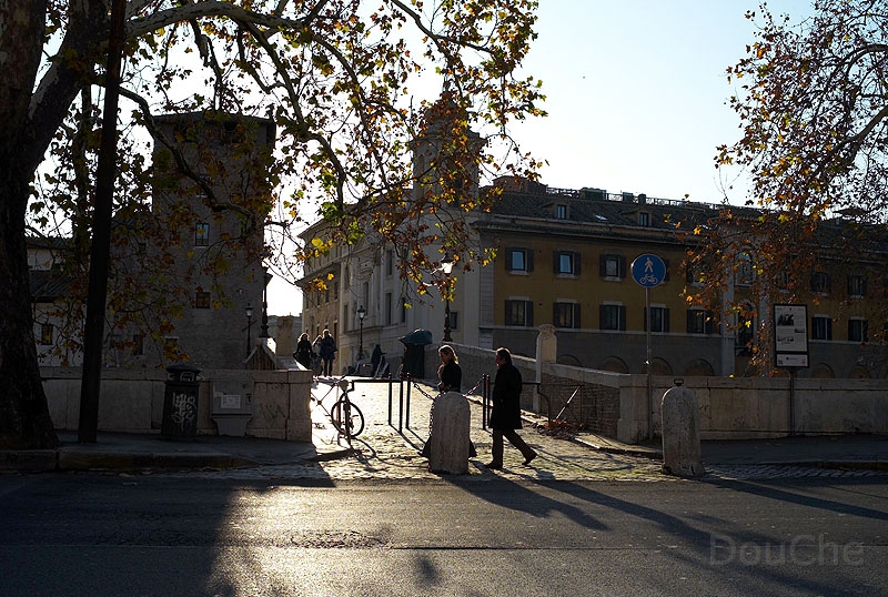L1004023_800.jpg