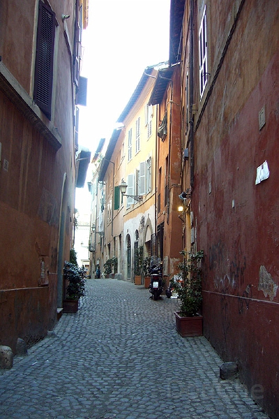 P1090684_800.jpg