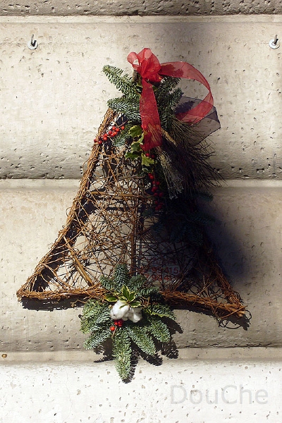 P1090683_800.jpg