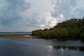 L1008815