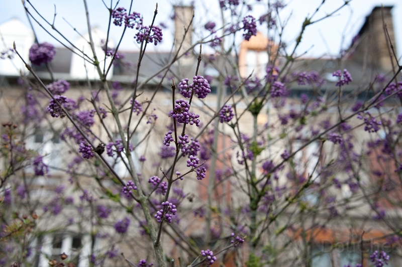 DSC_0618.jpg