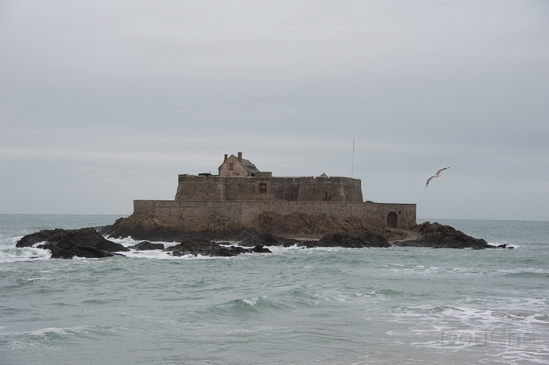 DSC_0266.jpg