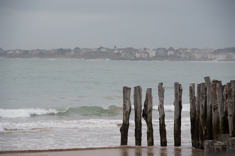 DSC_0267.jpg