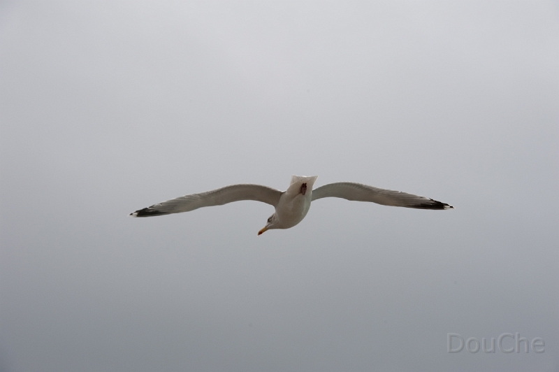 DSC_0307.jpg