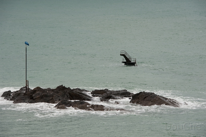 DSC_0310.jpg