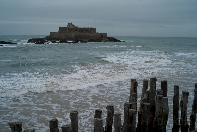 L1008155.jpg