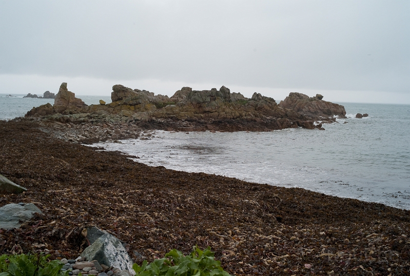 L1008244.jpg