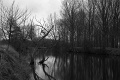 L1004690