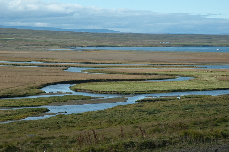 DSC_0349.jpg