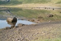 L1007450