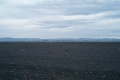 L1007607