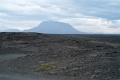 L1007609