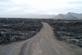 L1007616