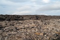 L1007652